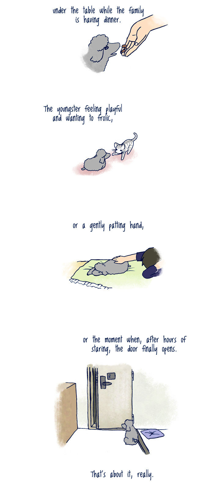 My Young Cat and My Old Dog Chapter 87 page 2 - Chapter 87 : A day