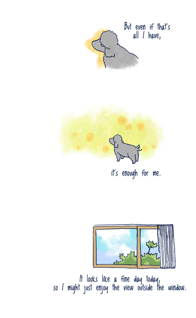 My Young Cat and My Old Dog Chapter 87 page 3 - Chapter 87 : A day
