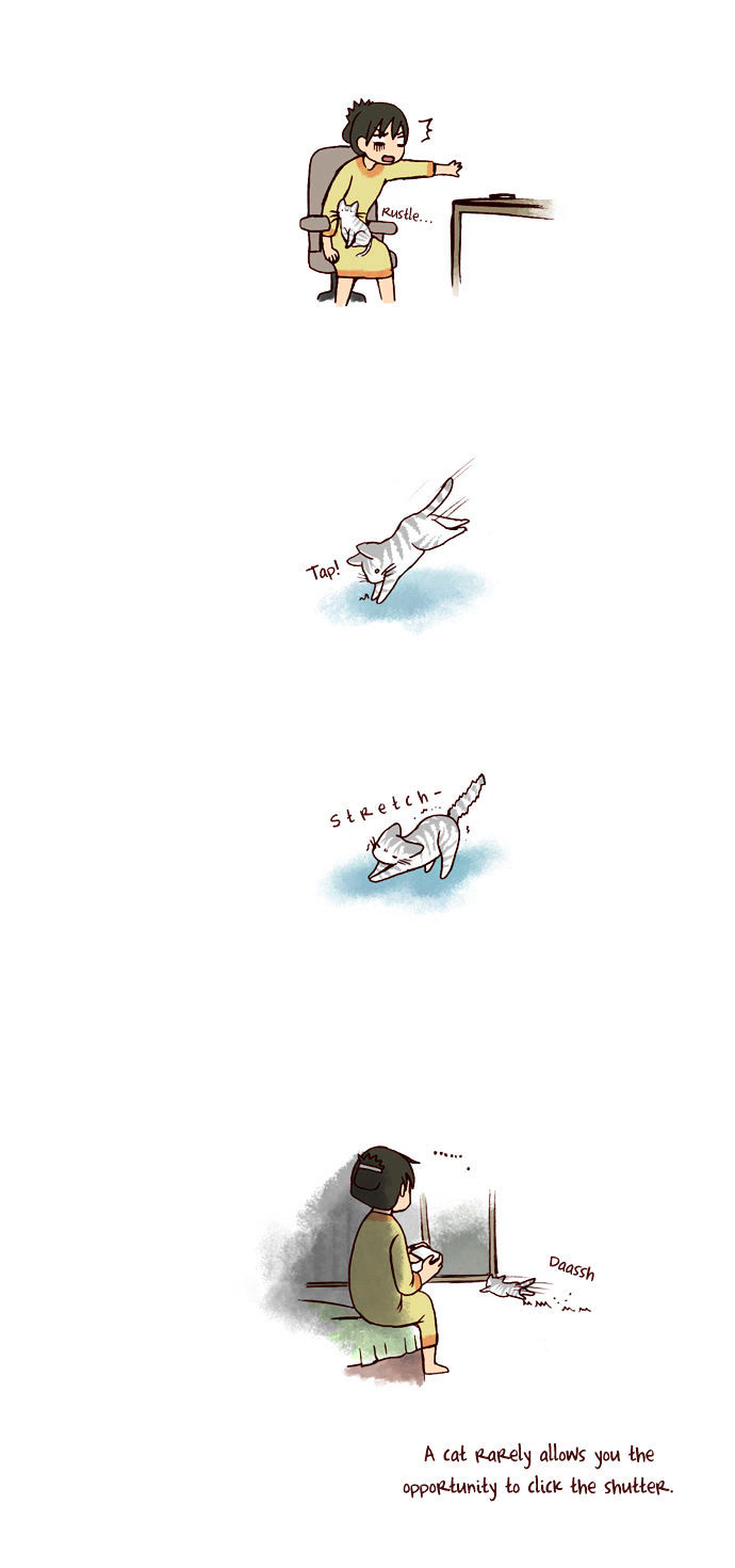 My Young Cat and My Old Dog Chapter 88 page 3 - Chapter 88 : Opportunity