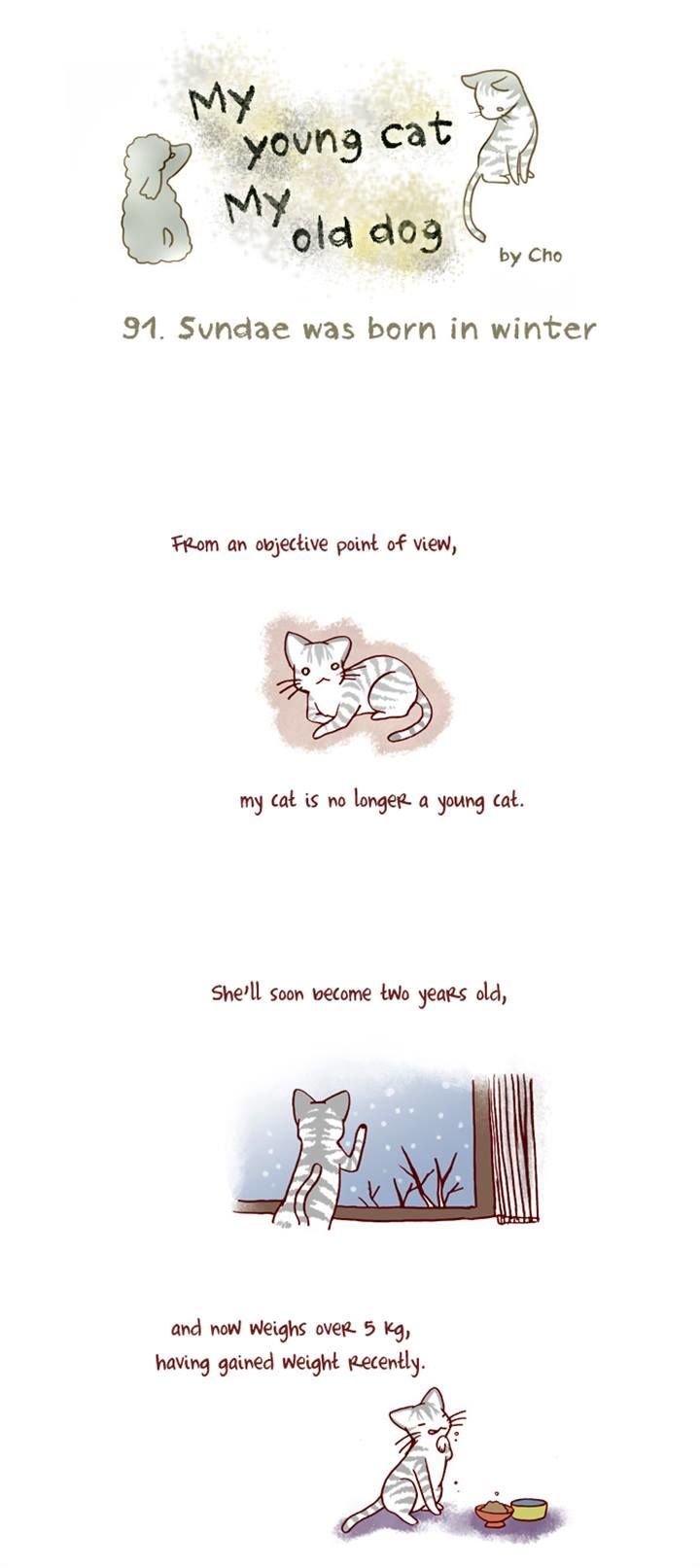 My Young Cat and My Old Dog Chapter 91 page 1 - Chapter 91 : Sundae was born in winter