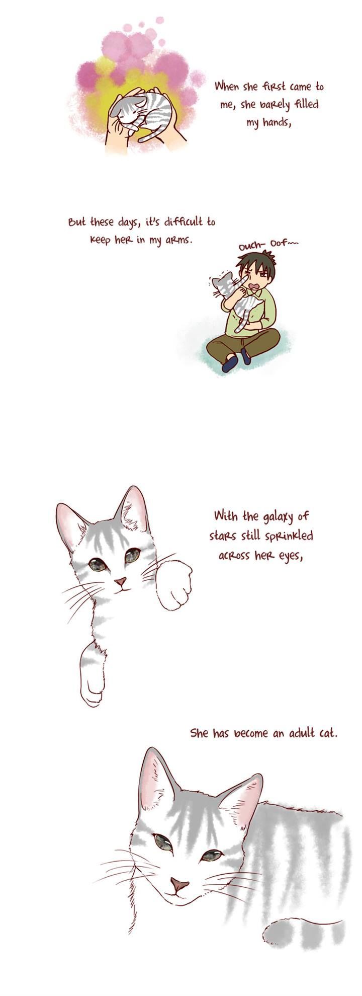 My Young Cat and My Old Dog Chapter 91 page 2 - Chapter 91 : Sundae was born in winter