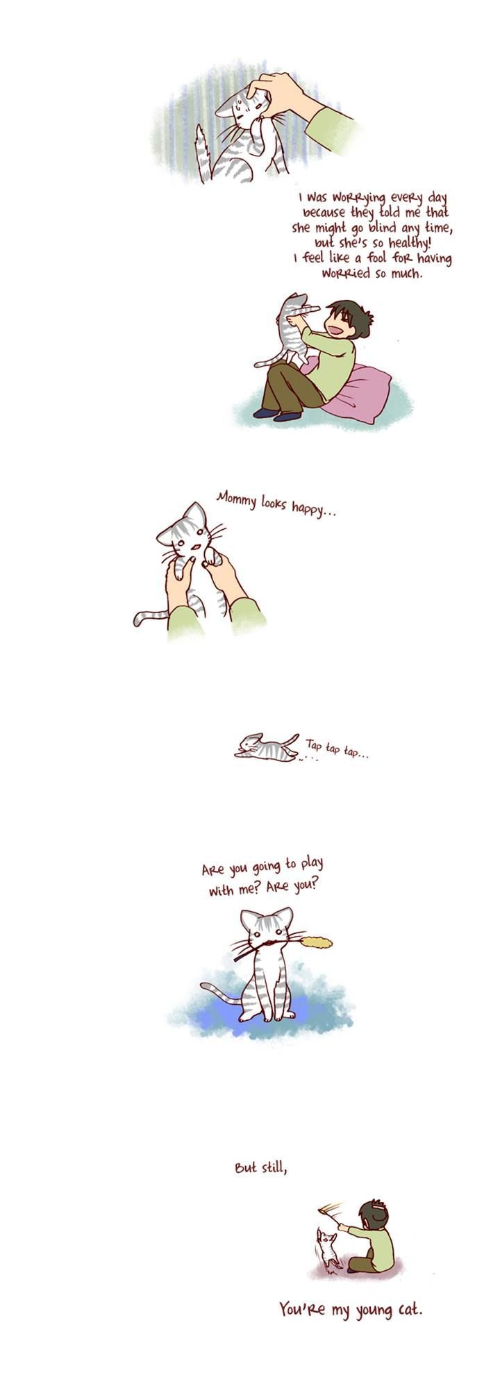 My Young Cat and My Old Dog Chapter 91 page 3 - Chapter 91 : Sundae was born in winter
