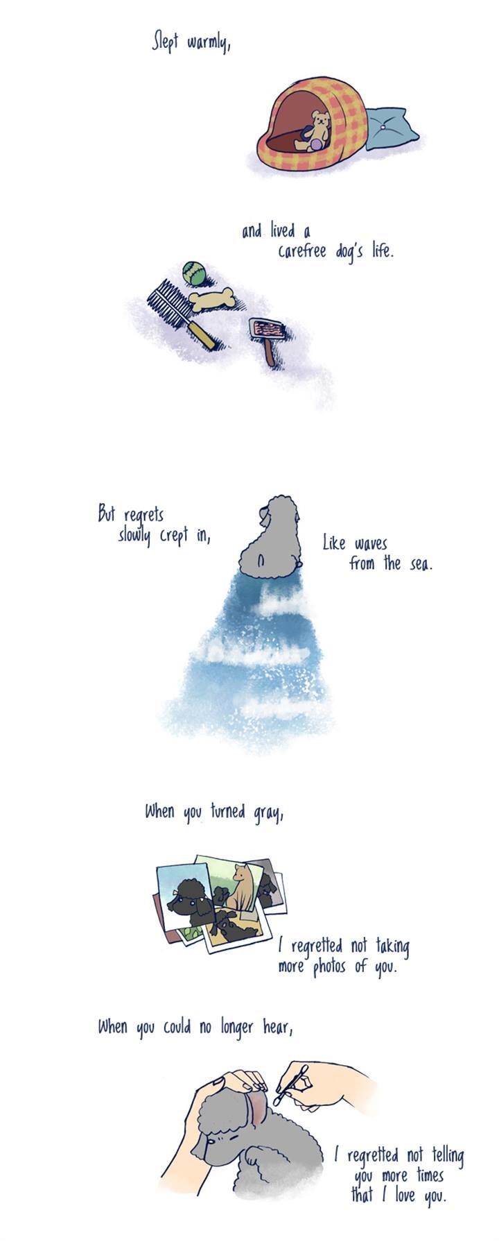 My Young Cat and My Old Dog Chapter 92 page 2 - Chapter 92 : Everything I want to give