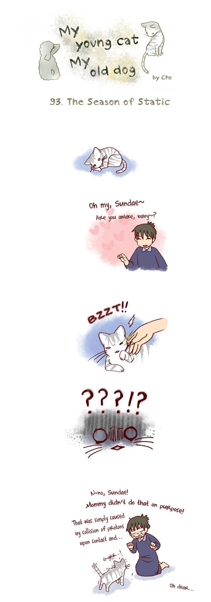 My Young Cat and My Old Dog Chapter 93 page 1 - Chapter 93 : The Season of Static