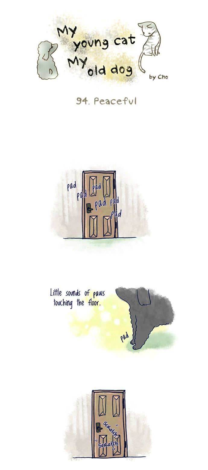 My Young Cat and My Old Dog Chapter 94 page 1 - Chapter 94 : Peaceful
