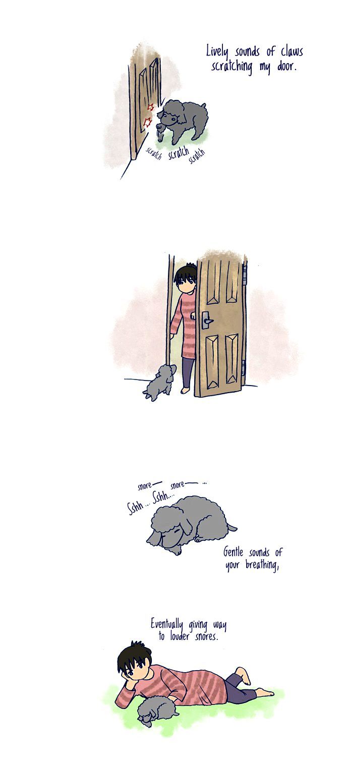 My Young Cat and My Old Dog Chapter 94 page 2 - Chapter 94 : Peaceful