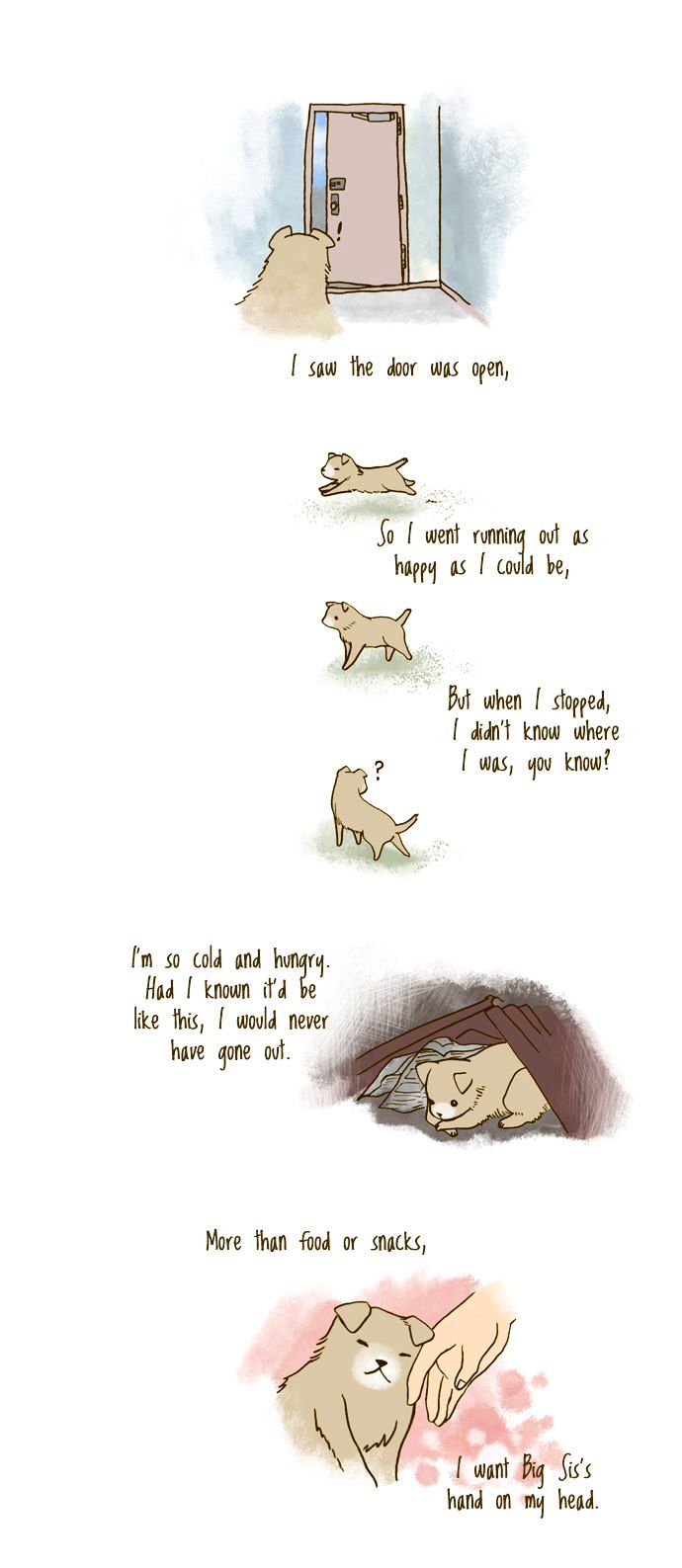 My Young Cat and My Old Dog Chapter 95 page 2 - Chapter 95 : I'm a Fool