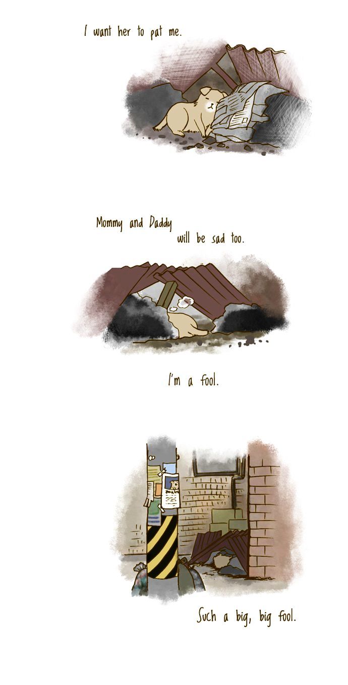 My Young Cat and My Old Dog Chapter 95 page 3 - Chapter 95 : I'm a Fool