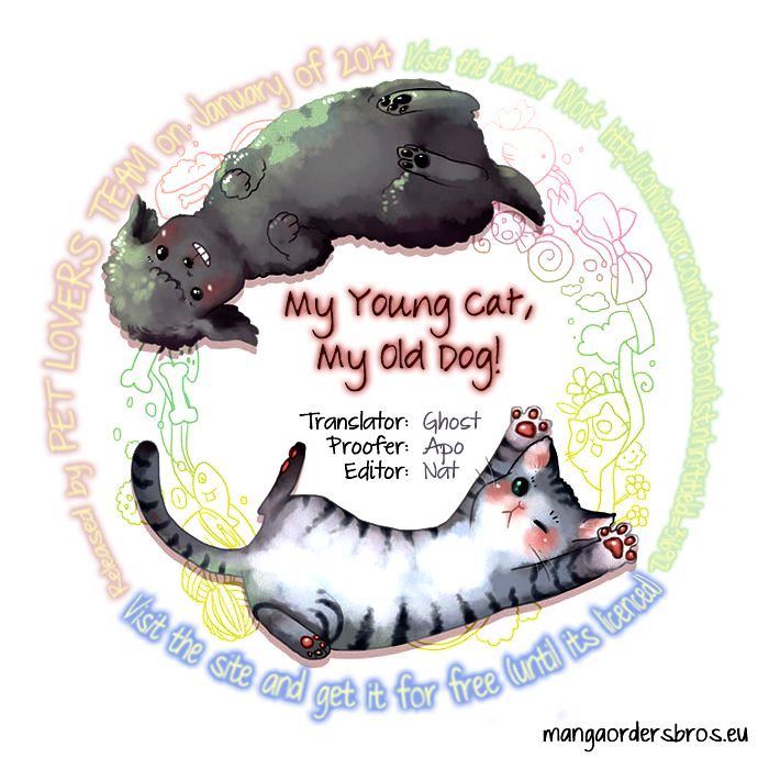 My Young Cat and My Old Dog Chapter 95 page 4 - Chapter 95 : I'm a Fool