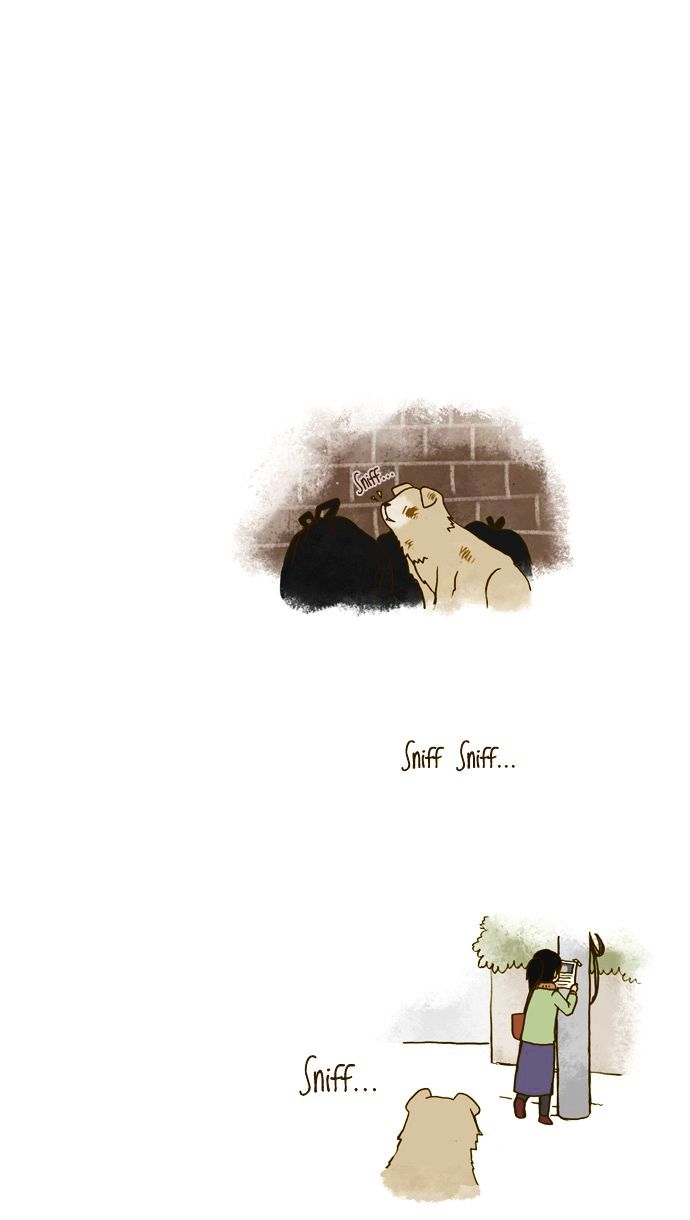 My Young Cat and My Old Dog Chapter 96 page 4 - Chapter 96 : I must be a fool