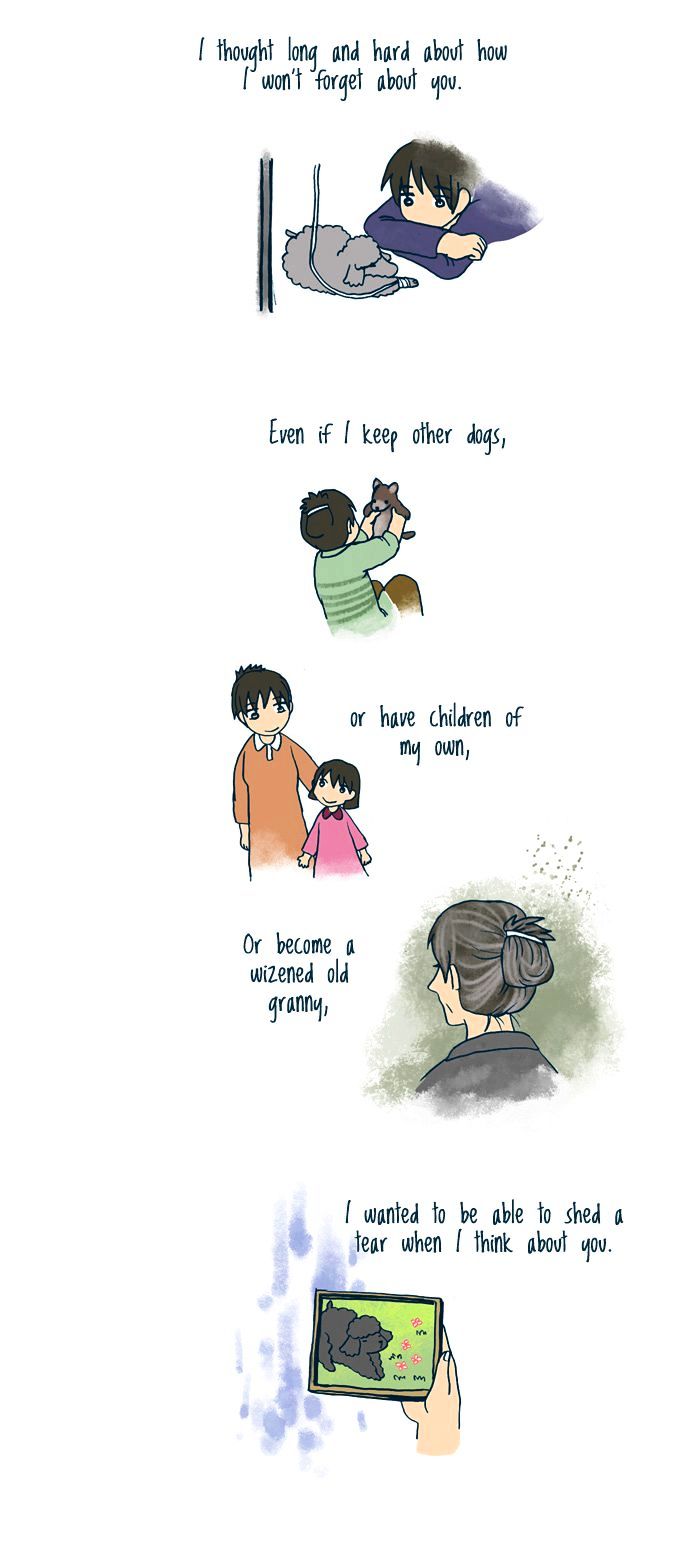 My Young Cat and My Old Dog Chapter 98 page 2 - Chapter 98 : New Year Wishes