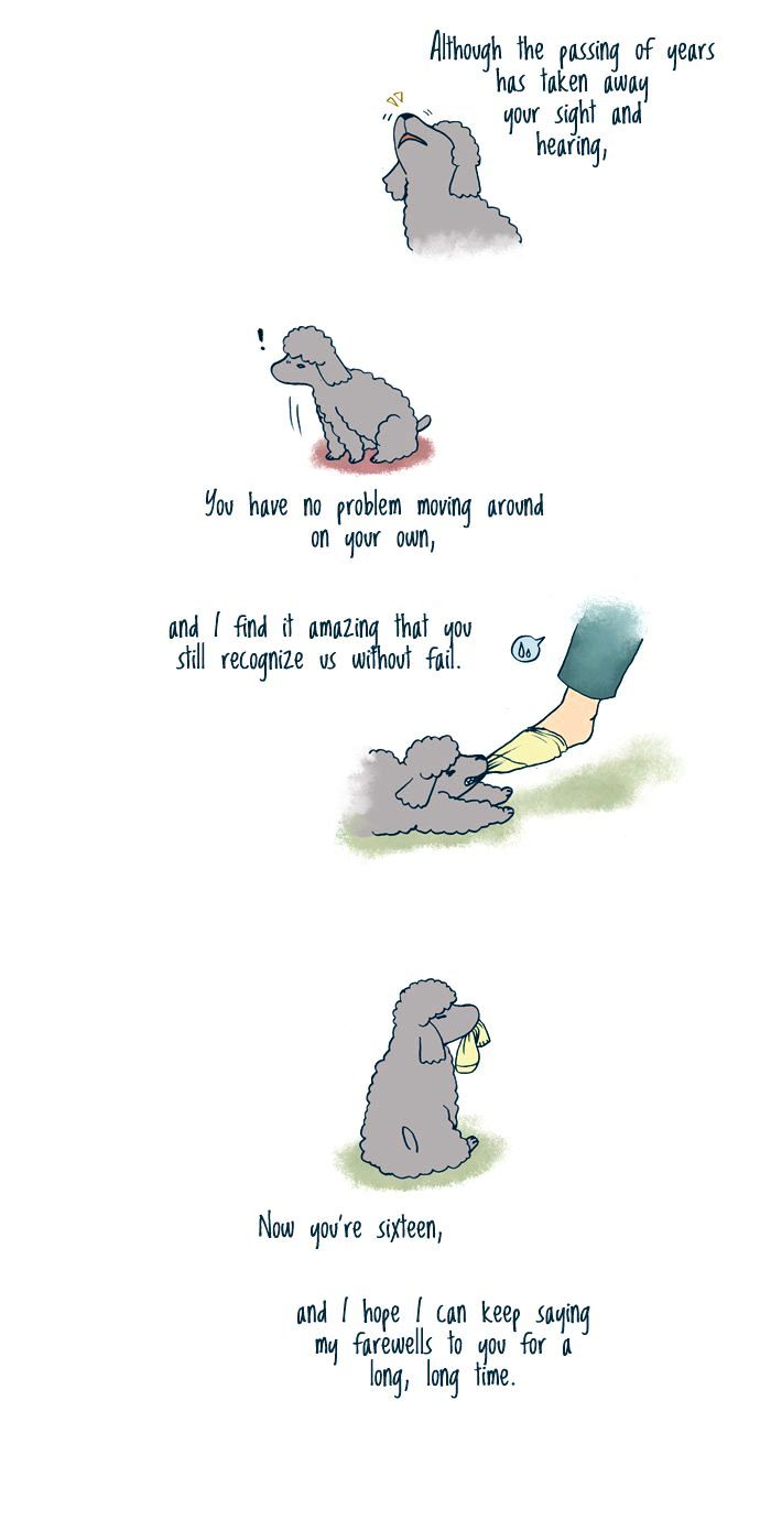 My Young Cat and My Old Dog Chapter 98 page 4 - Chapter 98 : New Year Wishes