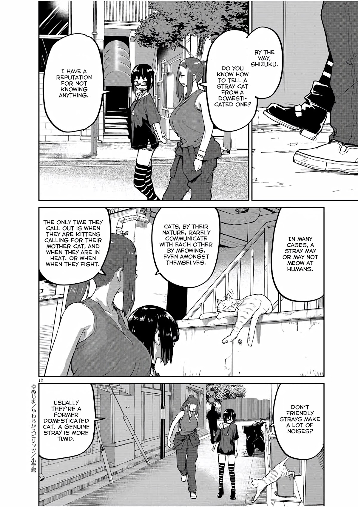 Mysteries, Maidens, And Mysterious Disappearances Chapter 43 page 13 - Chapter 43: 43rd Mystery: Cat General, That