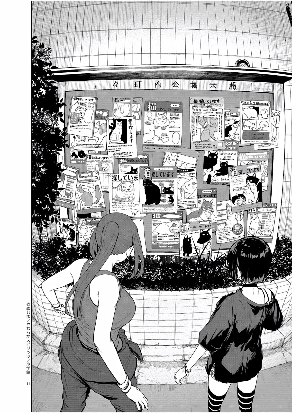 Mysteries, Maidens, And Mysterious Disappearances Chapter 43 page 15 - Chapter 43: 43rd Mystery: Cat General, That