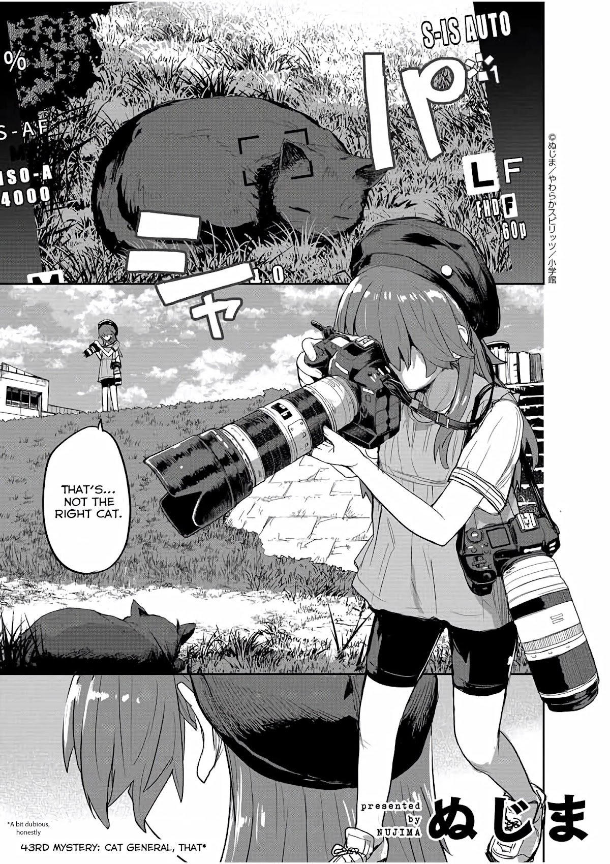 Mysteries, Maidens, And Mysterious Disappearances Chapter 43 page 2 - Chapter 43: 43rd Mystery: Cat General, That