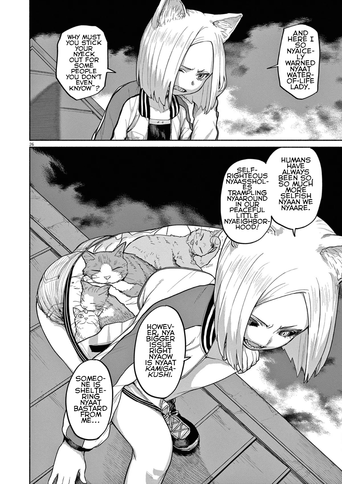 Mysteries, Maidens, And Mysterious Disappearances Chapter 46 page 9 - Chapter 46: 46th Mystery: That Cat's Family Part 3