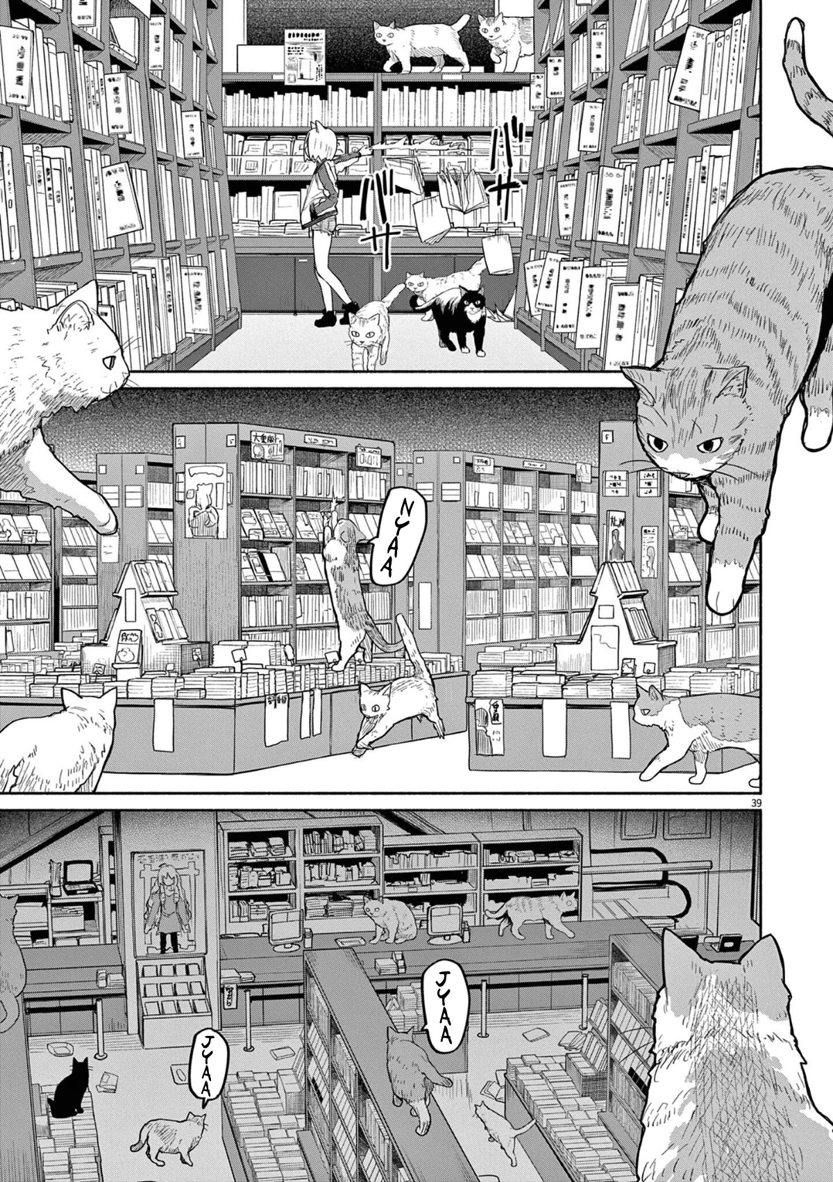 Mysteries, Maidens, And Mysterious Disappearances Chapter 47 page 10 - Chapter 47: 47th Mystery: That Cat's Family Part 4