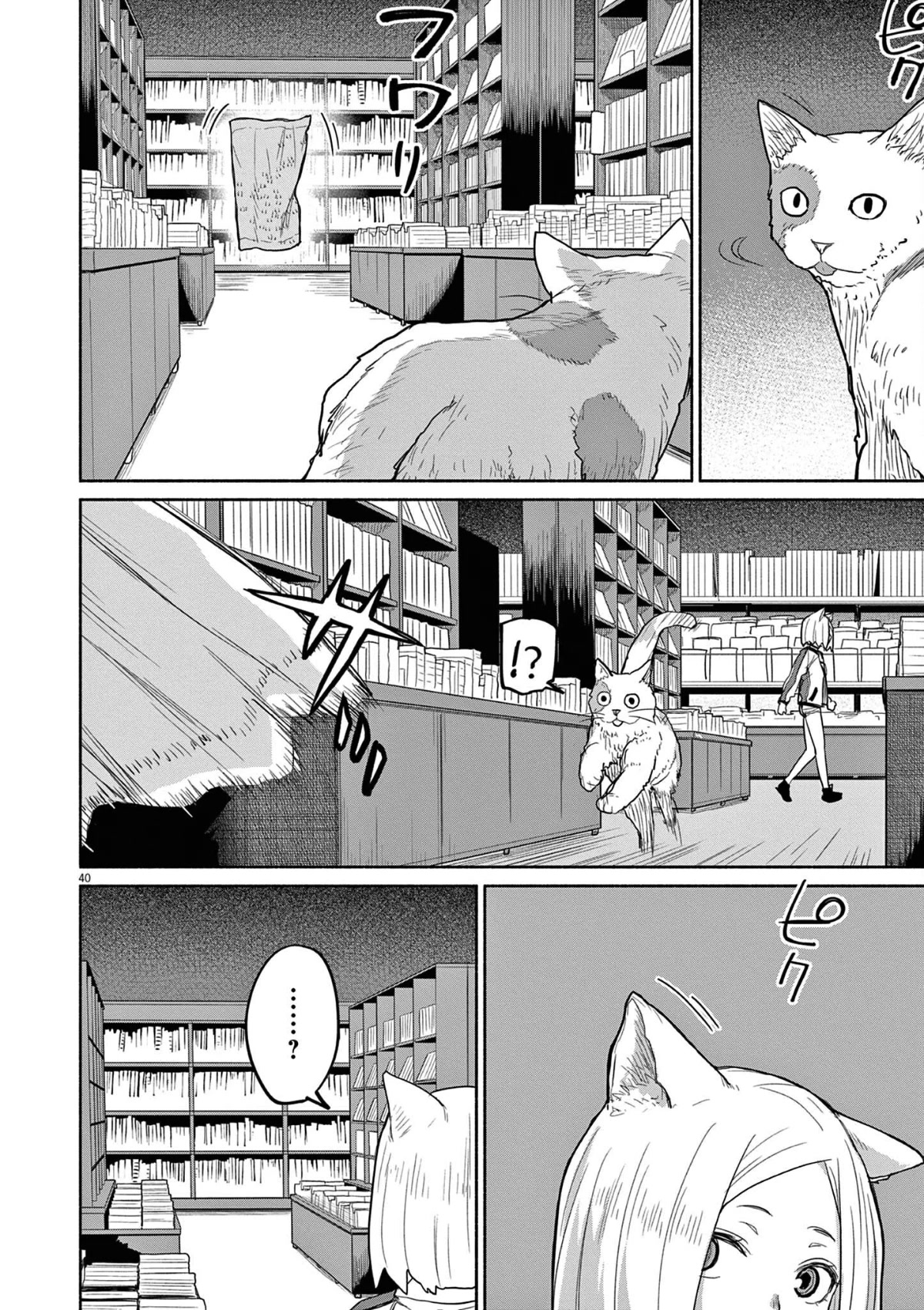 Mysteries, Maidens, And Mysterious Disappearances Chapter 47 page 11 - Chapter 47: 47th Mystery: That Cat's Family Part 4