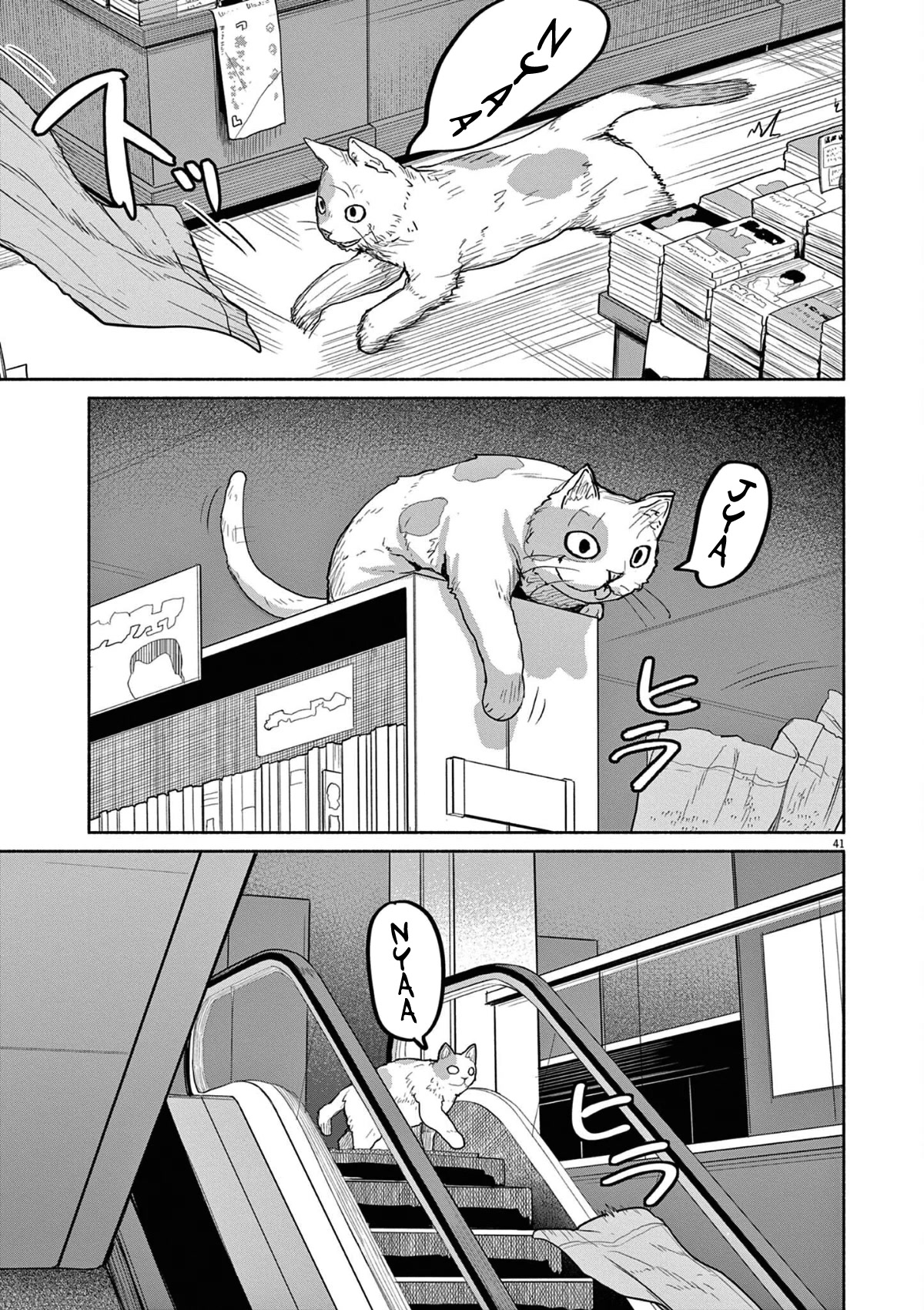 Mysteries, Maidens, And Mysterious Disappearances Chapter 47 page 12 - Chapter 47: 47th Mystery: That Cat's Family Part 4