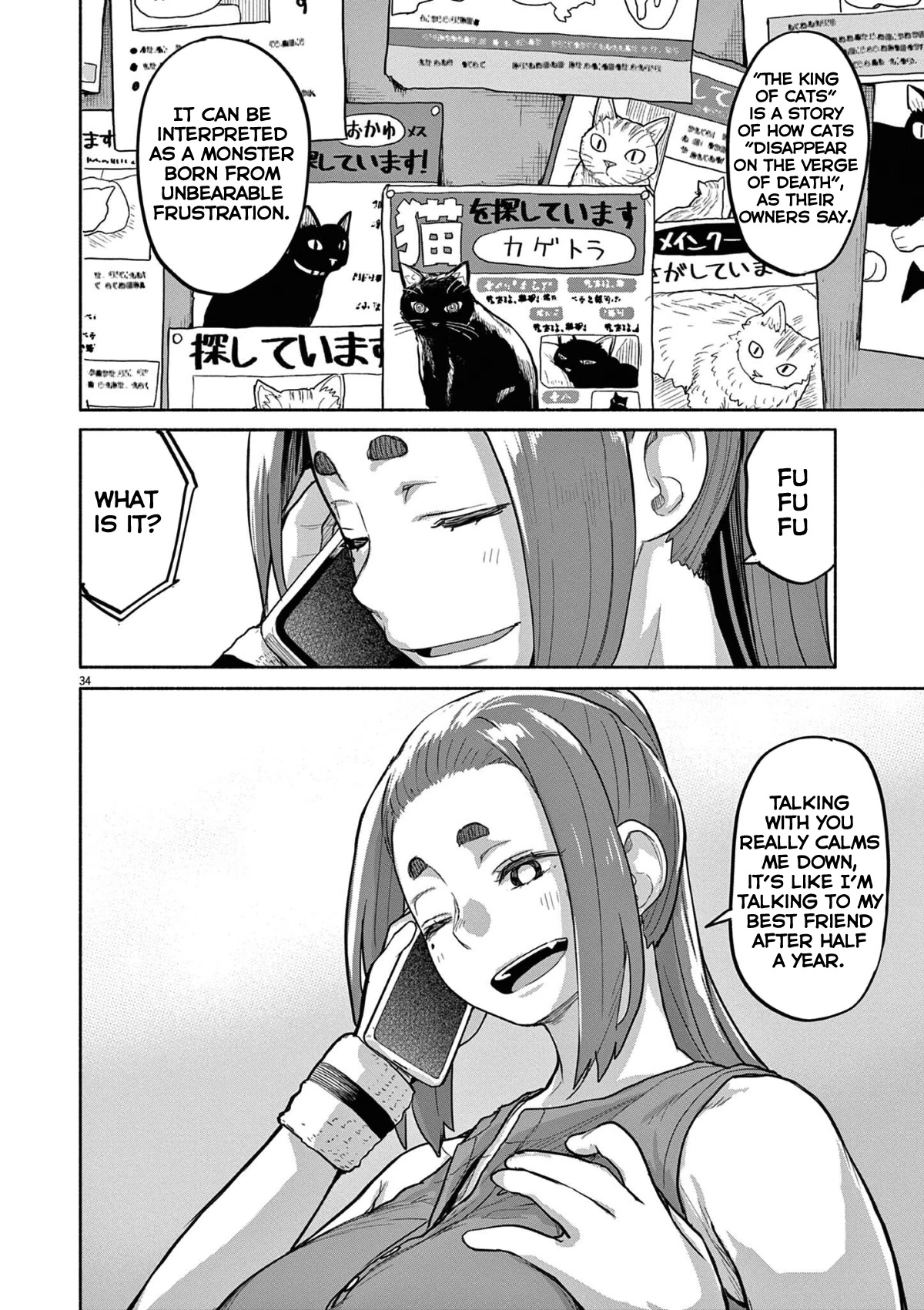 Mysteries, Maidens, And Mysterious Disappearances Chapter 47 page 5 - Chapter 47: 47th Mystery: That Cat's Family Part 4