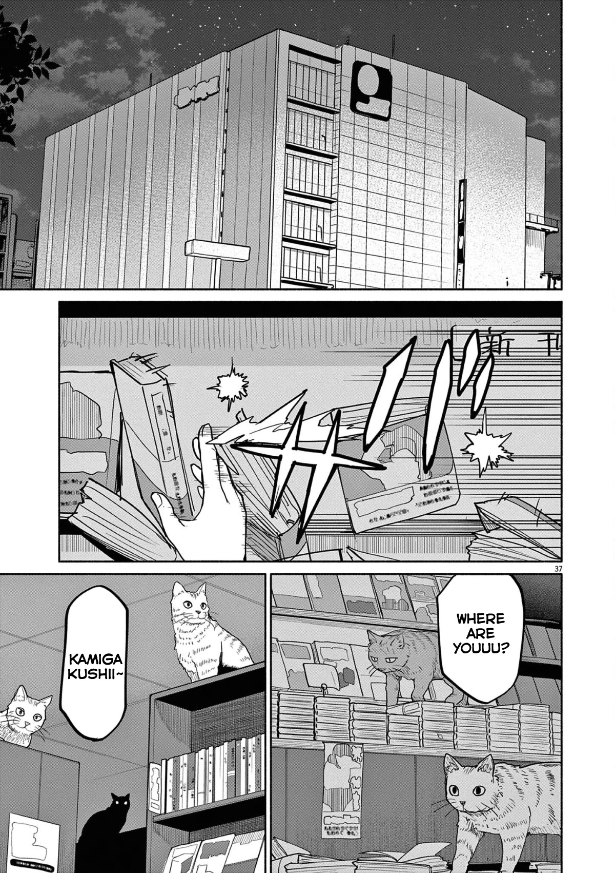 Mysteries, Maidens, And Mysterious Disappearances Chapter 47 page 8 - Chapter 47: 47th Mystery: That Cat's Family Part 4