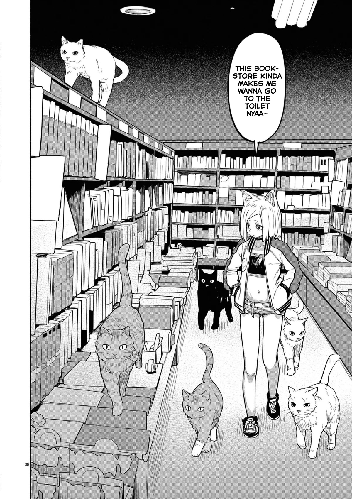Mysteries, Maidens, And Mysterious Disappearances Chapter 47 page 9 - Chapter 47: 47th Mystery: That Cat's Family Part 4