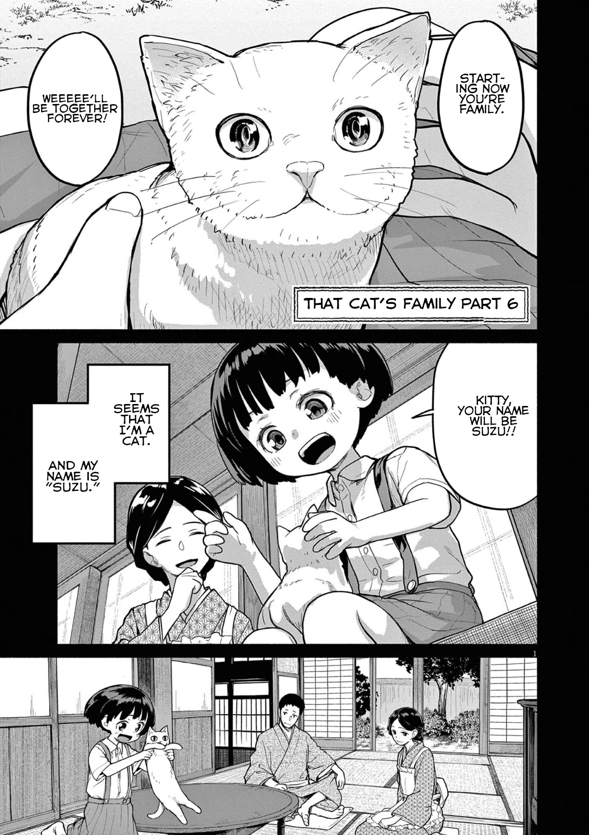Mysteries, Maidens, And Mysterious Disappearances Chapter 49 page 1 - Chapter 49: 49th Mystery: That Cat's Family Part 6