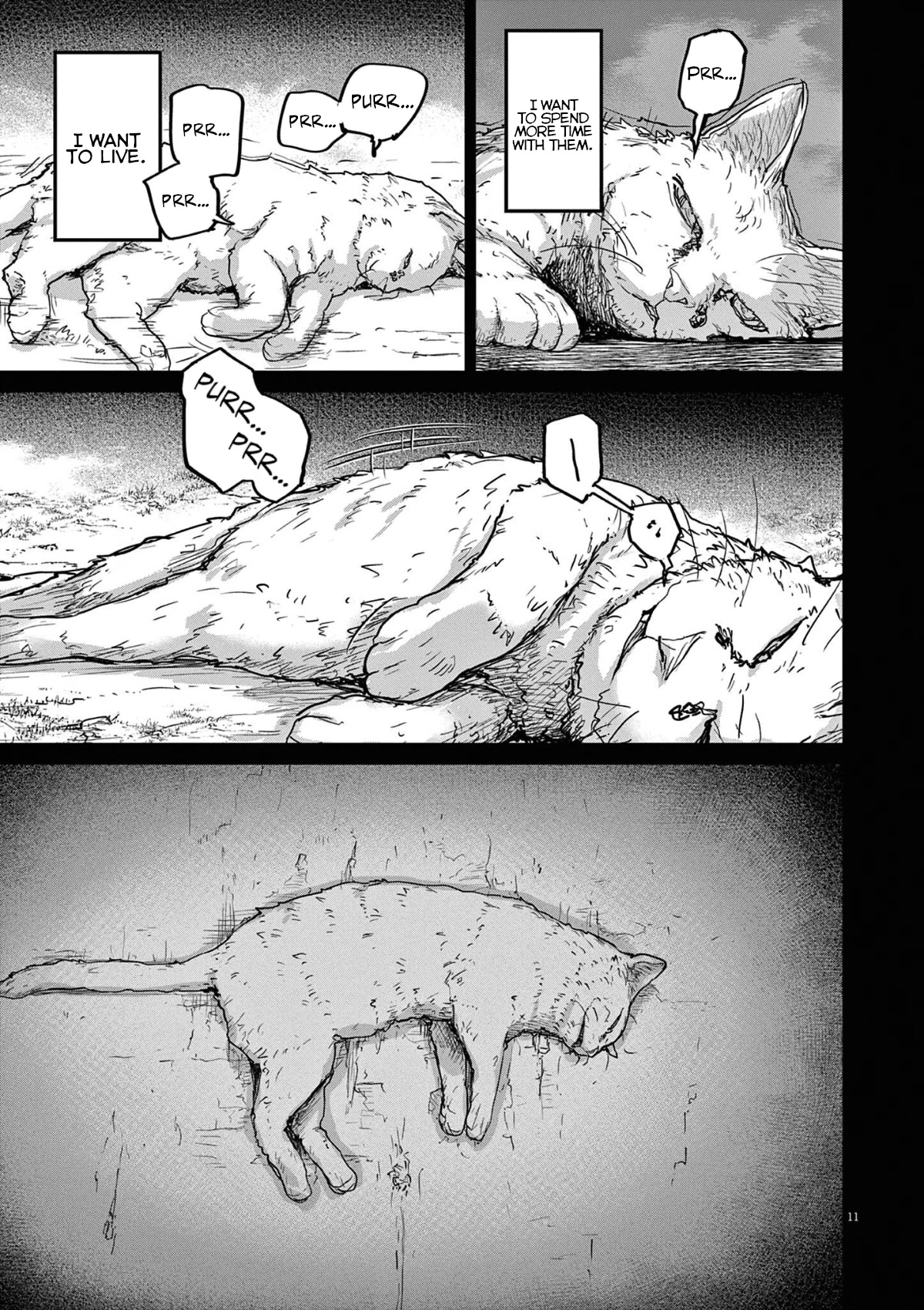 Mysteries, Maidens, And Mysterious Disappearances Chapter 49 page 11 - Chapter 49: 49th Mystery: That Cat's Family Part 6