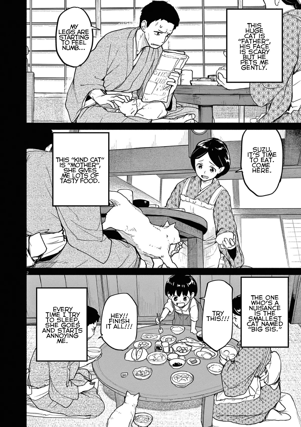 Mysteries, Maidens, And Mysterious Disappearances Chapter 49 page 2 - Chapter 49: 49th Mystery: That Cat's Family Part 6