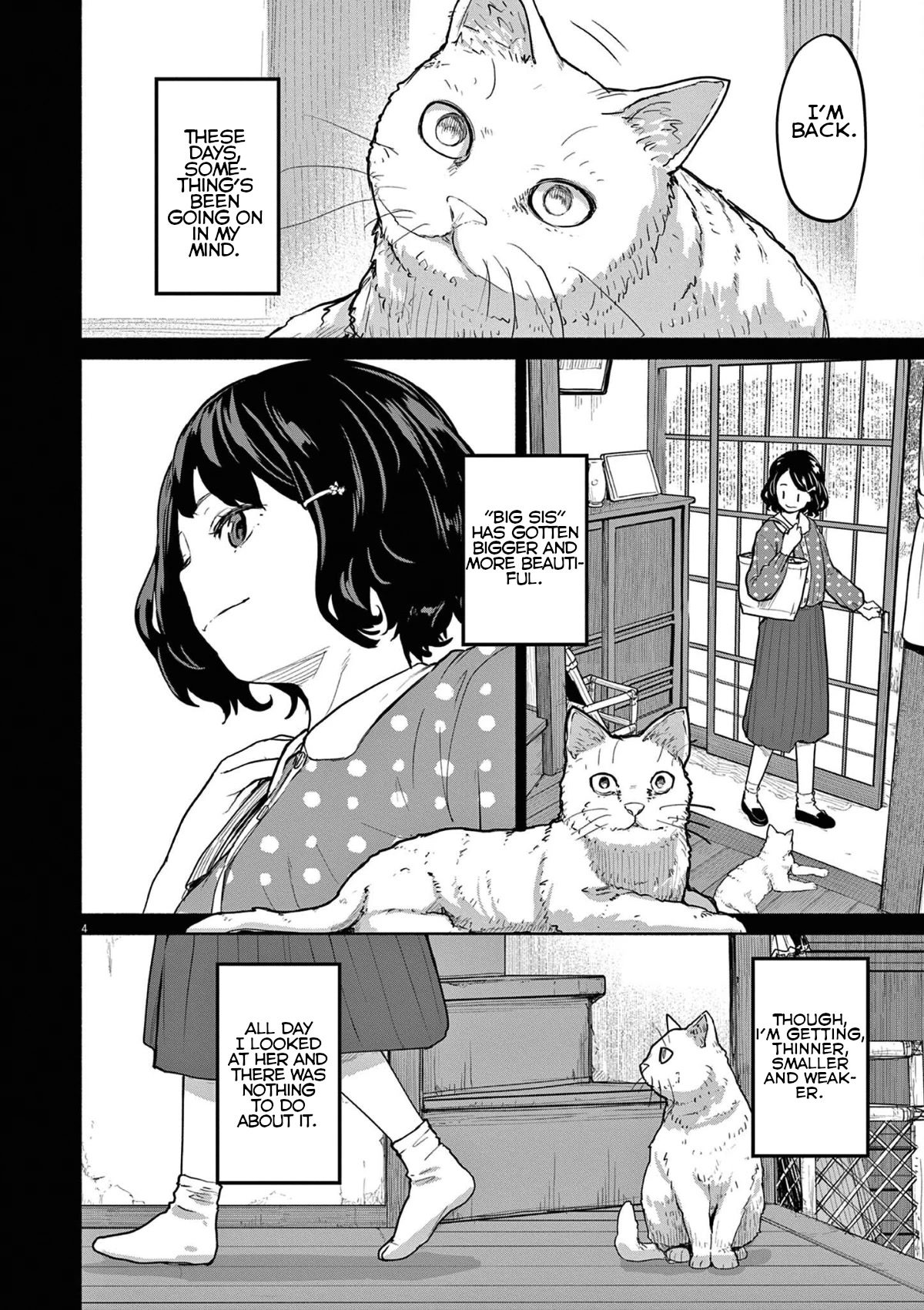 Mysteries, Maidens, And Mysterious Disappearances Chapter 49 page 4 - Chapter 49: 49th Mystery: That Cat's Family Part 6