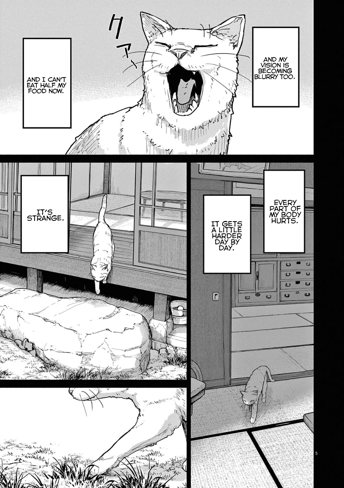Mysteries, Maidens, And Mysterious Disappearances Chapter 49 page 5 - Chapter 49: 49th Mystery: That Cat's Family Part 6