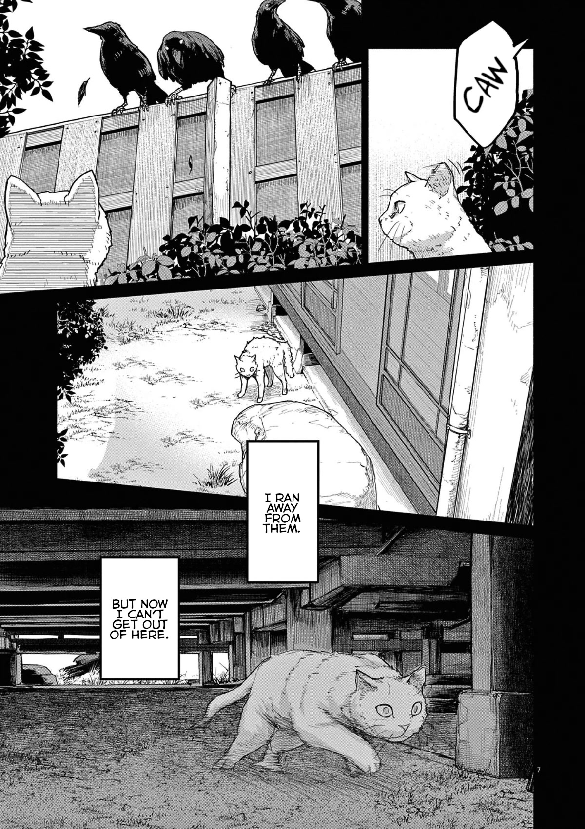 Mysteries, Maidens, And Mysterious Disappearances Chapter 49 page 7 - Chapter 49: 49th Mystery: That Cat's Family Part 6