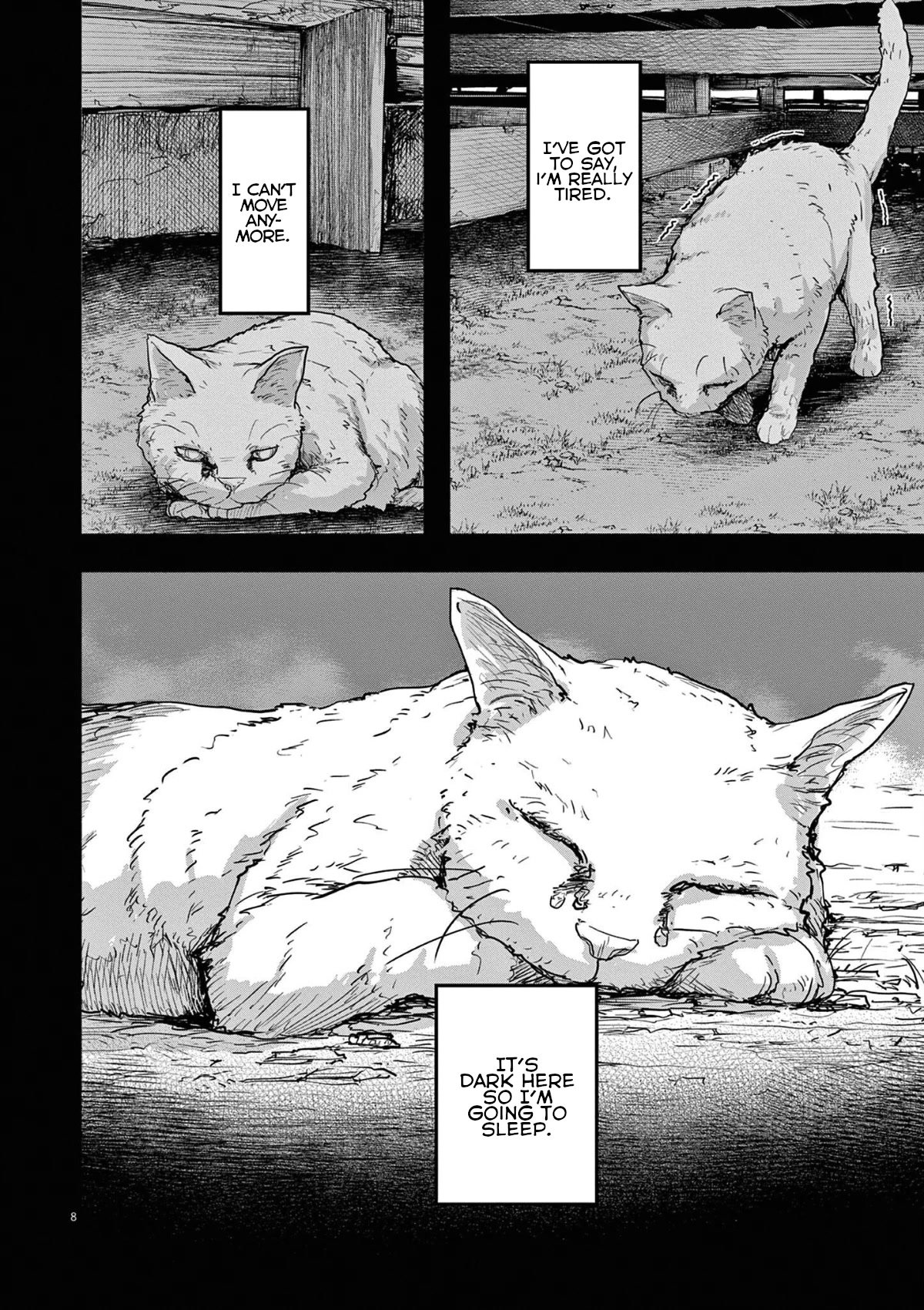 Mysteries, Maidens, And Mysterious Disappearances Chapter 49 page 8 - Chapter 49: 49th Mystery: That Cat's Family Part 6