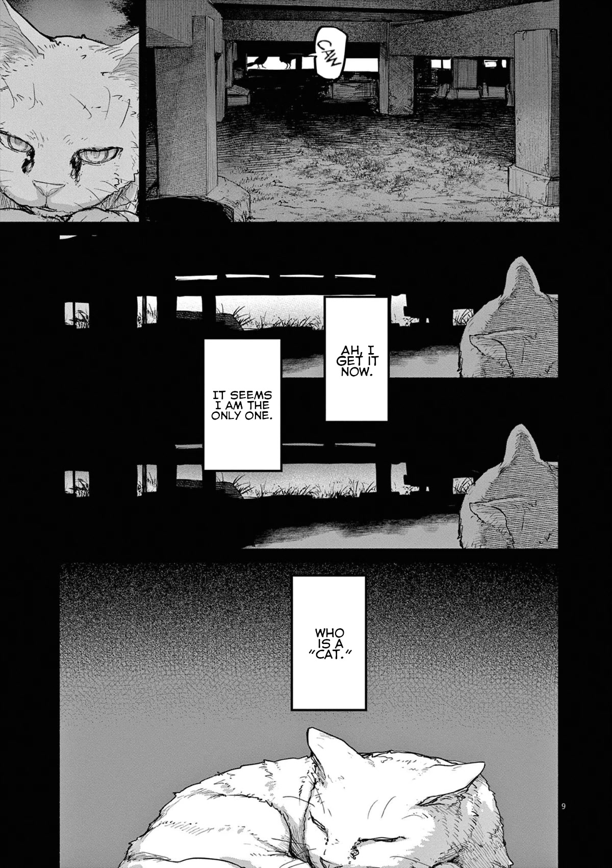 Mysteries, Maidens, And Mysterious Disappearances Chapter 49 page 9 - Chapter 49: 49th Mystery: That Cat's Family Part 6
