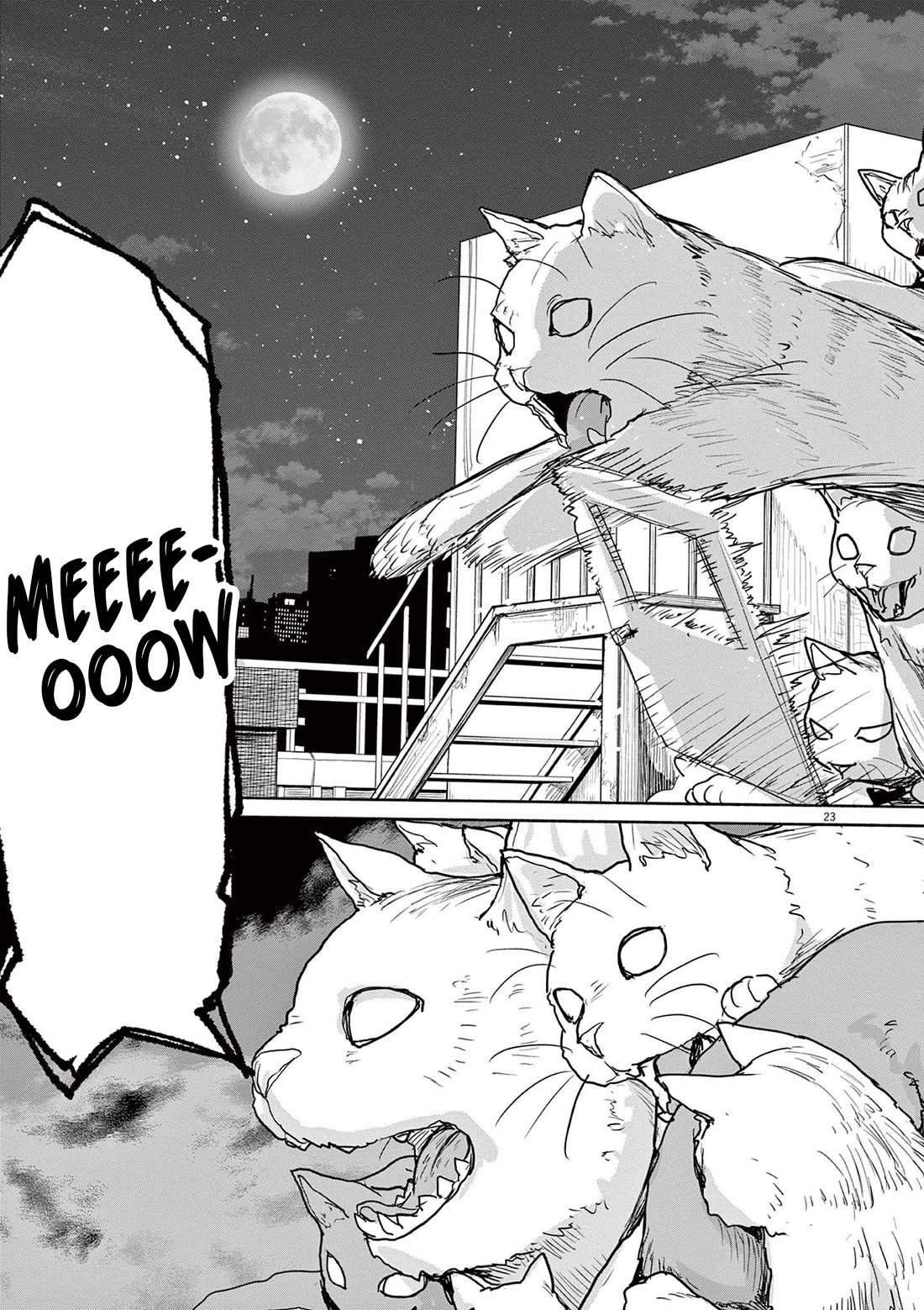 Mysteries, Maidens, And Mysterious Disappearances Chapter 50 page 7 - Chapter 50: 50th Mystery: The Cat's Family Part 7