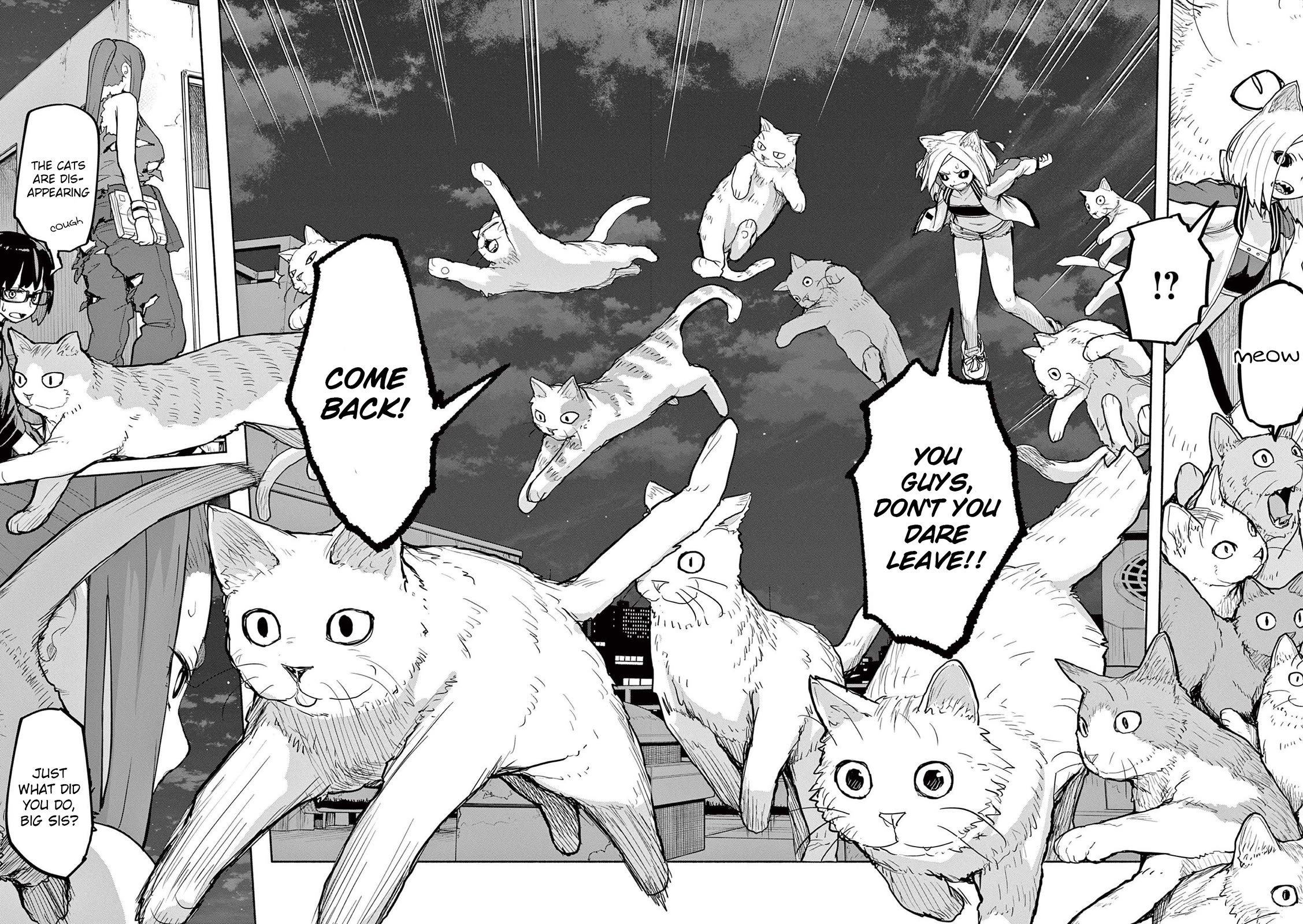 Mysteries, Maidens, And Mysterious Disappearances Chapter 51 page 2 - Chapter 51: The Cat's Family - Part 8