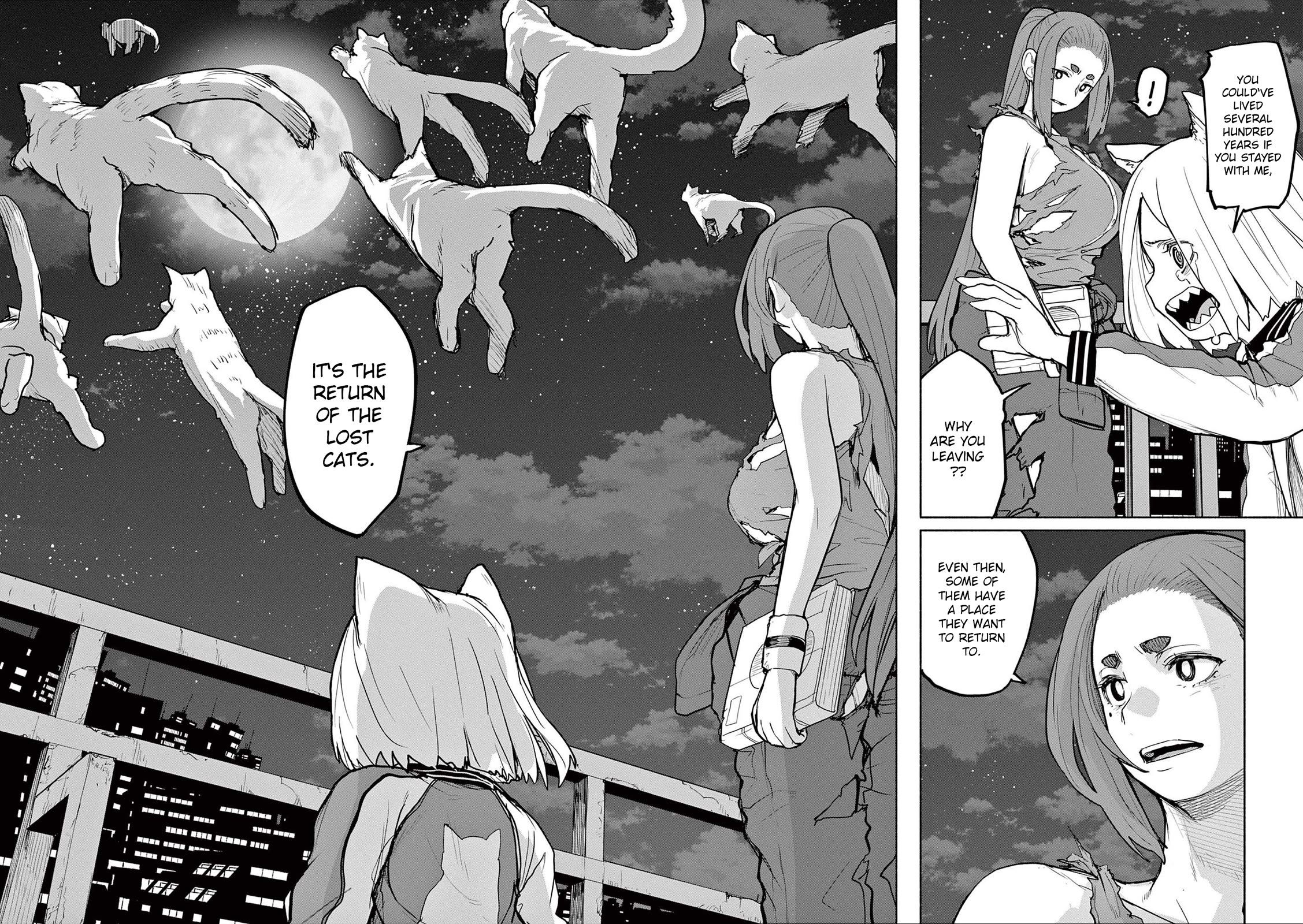 Mysteries, Maidens, And Mysterious Disappearances Chapter 51 page 5 - Chapter 51: The Cat's Family - Part 8