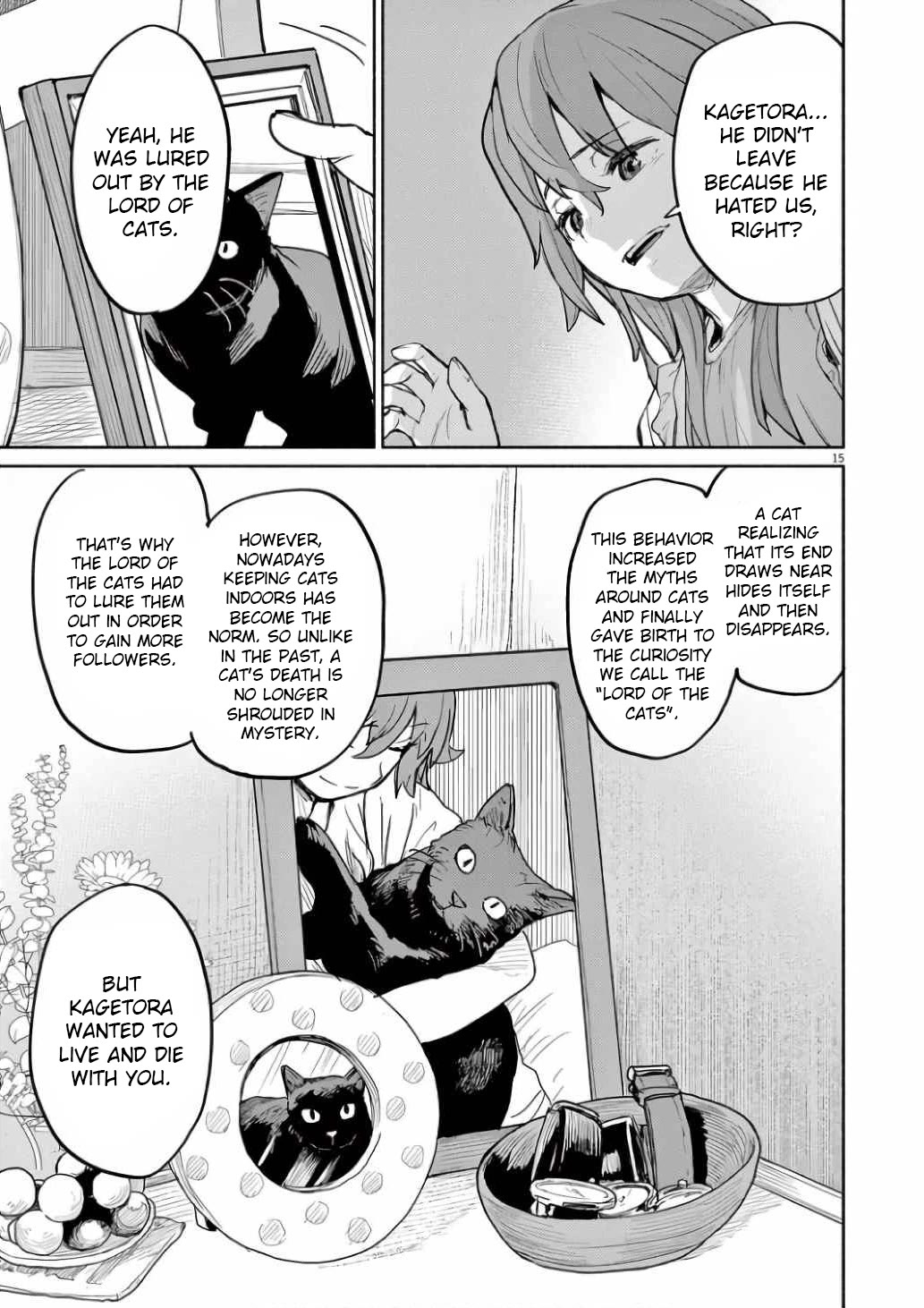 Mysteries, Maidens, And Mysterious Disappearances Chapter 52 page 16 - Chapter 52: The Cat’s Family - Part 9