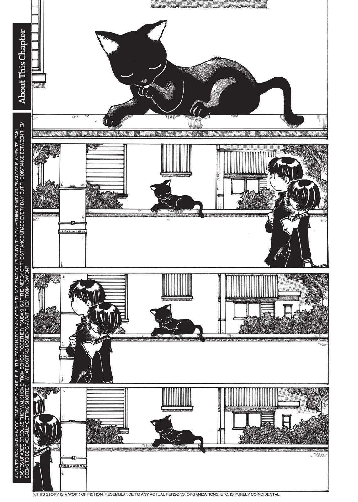 Mysterious Girlfriend X Chapter 12.5 page 2 - Chapter 12.5: Mysterious Meow