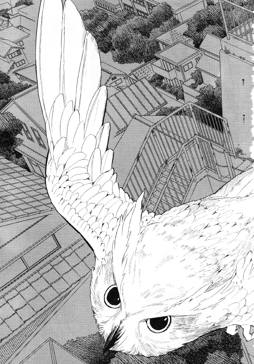 Nabari no Ou Chapter 49 page 31 - Chapter 49: The Bird in the Sky
