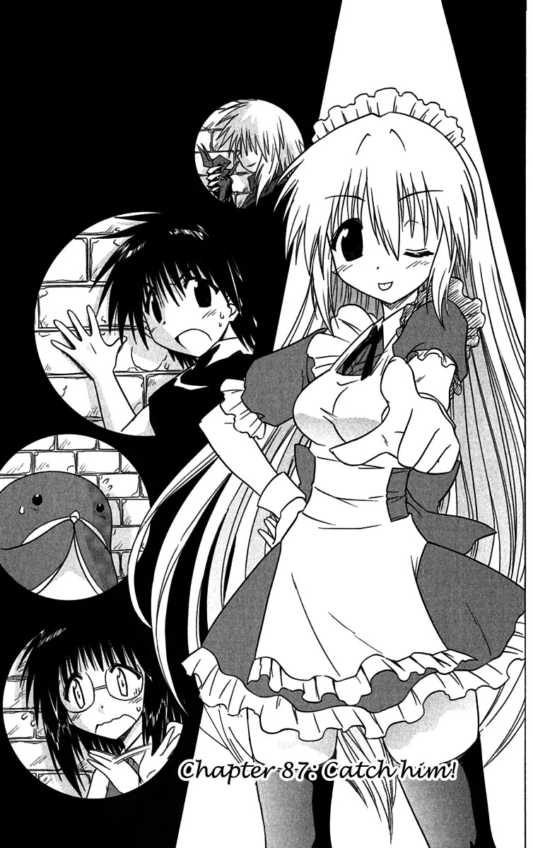 Nagasarete Airantou Chapter 87 page 3 - Chapter 87: Catch Him!