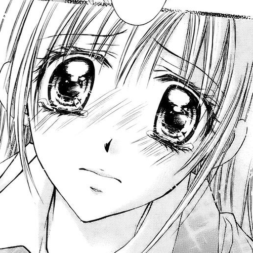 Namida Usagi - Seifuku no Kataomoi Chapter 12 cover