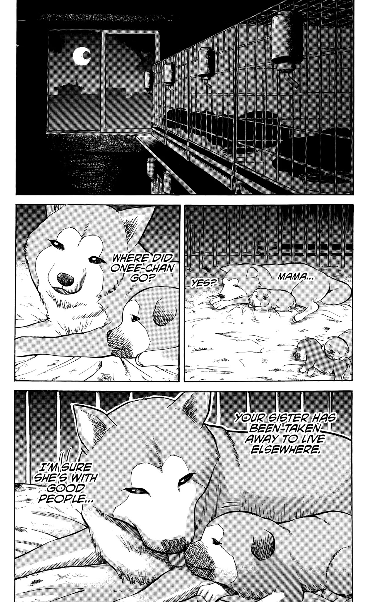 Nanba MG5 Chapter 95 page 11 - Chapter 95: Sekiryuu