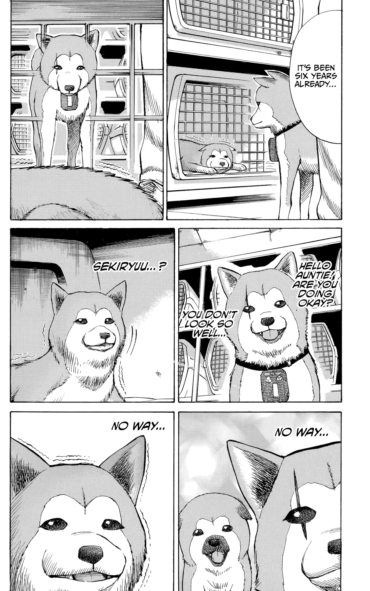 Nanba MG5 Chapter 98 page 20 - Chapter 98: Shinozaki