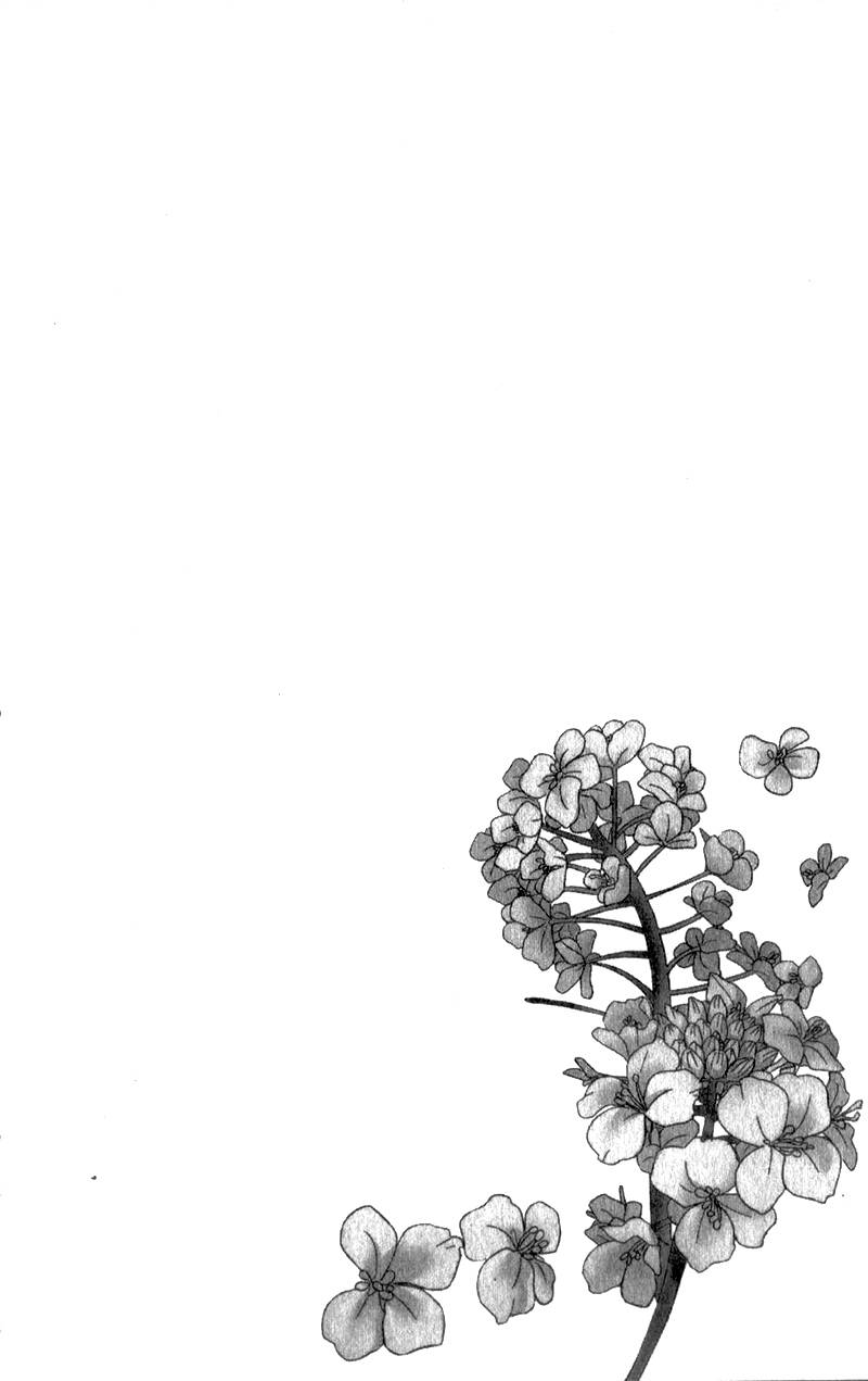 Nanohana no Kare Chapter 12 page 6 - Chapter 12
