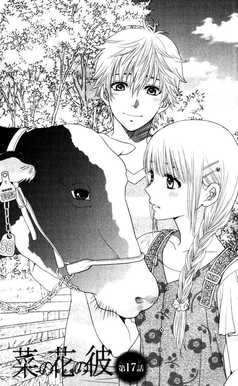 Nanohana no Kare Chapter 17 page 5 - Chapter 17