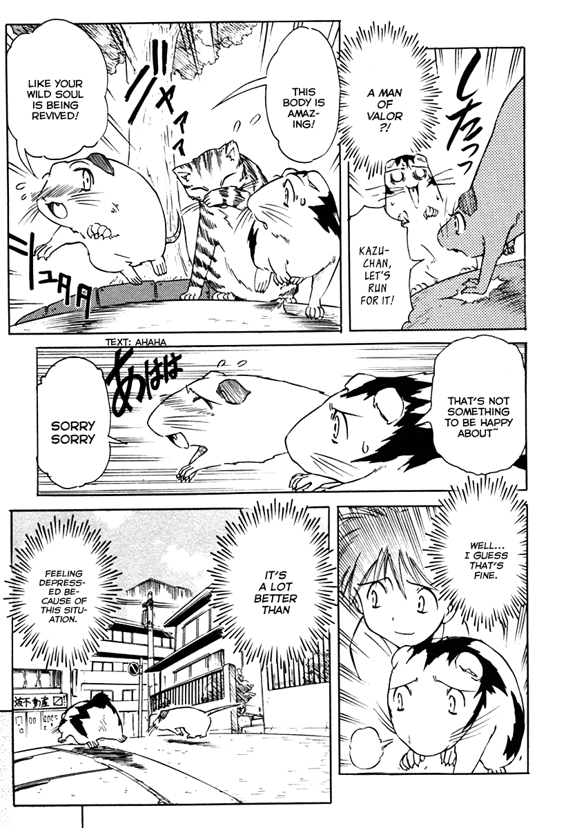 Narue no Sekai Chapter 27 page 17 - Chapter 27: Mouse Future (1)