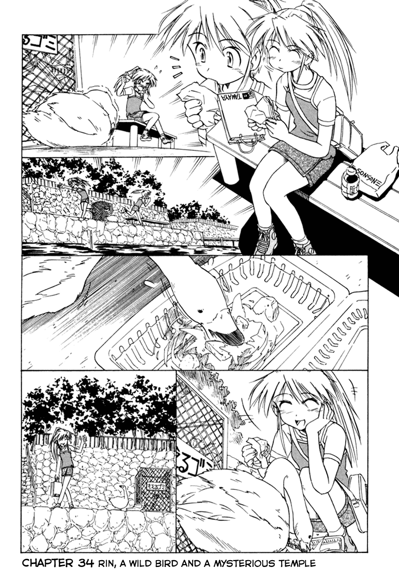 Narue no Sekai Chapter 34 page 1 - Chapter 34: Rin, a Wild Bird and a Mysterious Temple