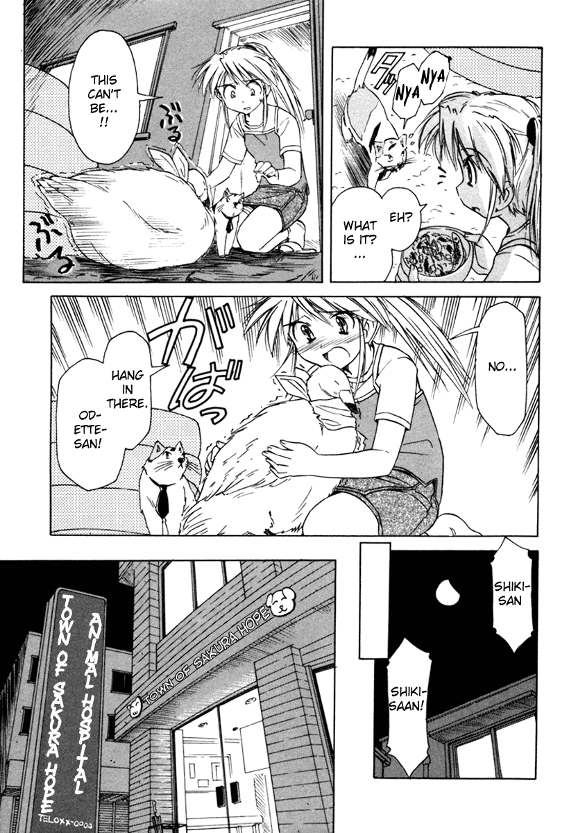 Narue no Sekai Chapter 34 page 15 - Chapter 34: Rin, a Wild Bird and a Mysterious Temple