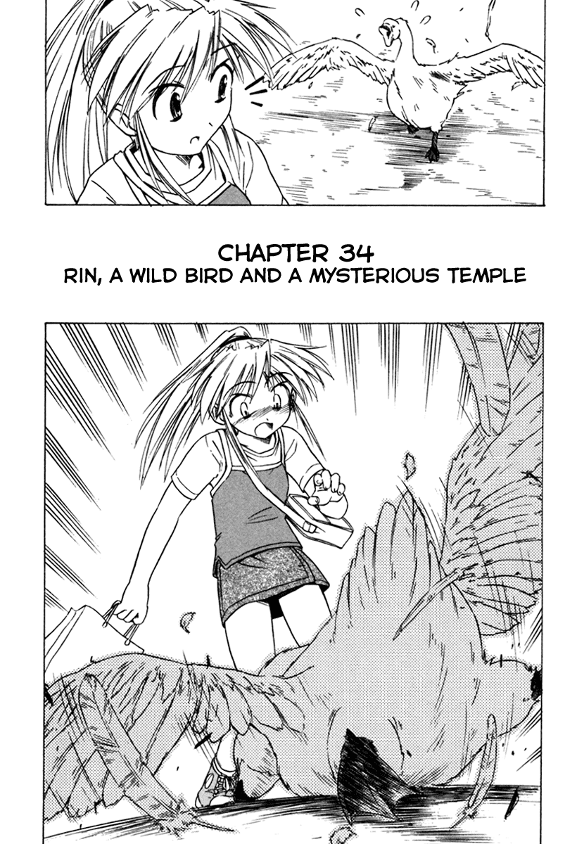 Narue no Sekai Chapter 34 page 2 - Chapter 34: Rin, a Wild Bird and a Mysterious Temple